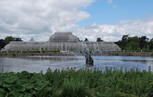 邱园里的棕榈温室，像不像小号的水晶宫