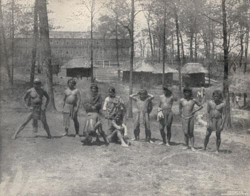 热狗与冰淇淋蛋筒的故事