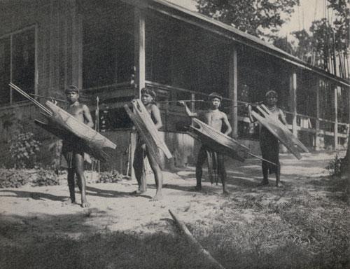 热狗与冰淇淋蛋筒的故事