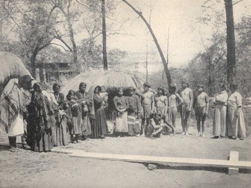 热狗与冰淇淋蛋筒的故事