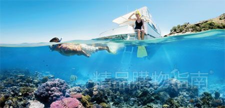 凯恩斯体验潜水乐趣