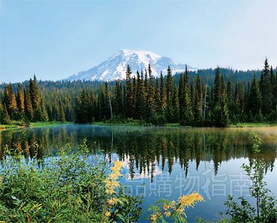 位于塔科马市东南的雷尼尔国家公园