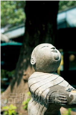 事无巨细的美感，在每个角落绽放。古香古色，不在这花草间；文化深蕴，不在这透明屋顶间，只在那转角的美好间。