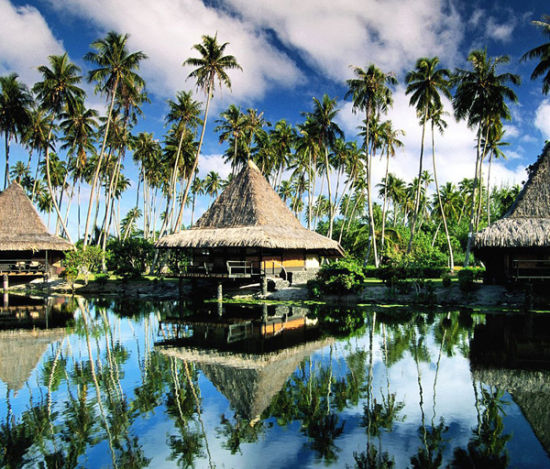 波利尼西亚：琼崖海棠油