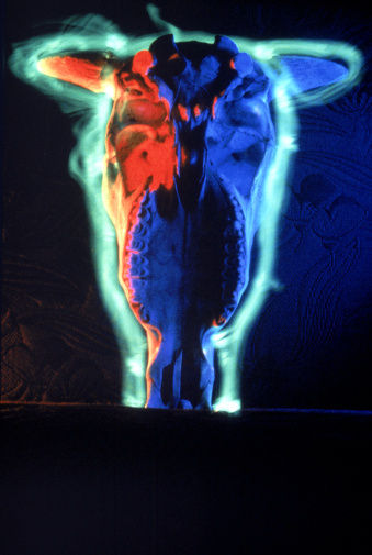 保险起见：及时排查宫颈癌变