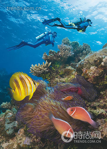 大堡礁Great Barrier Reef