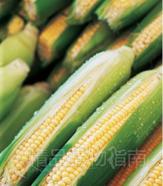 水果玉米皮薄、甜脆无渣、香甜软滑、甜味正、糖度高，适宜生食、煮食。