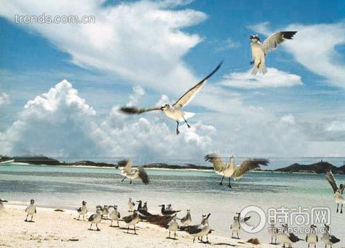 Los Roques群岛海滩