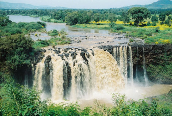 埃塞俄比亚：人类学101