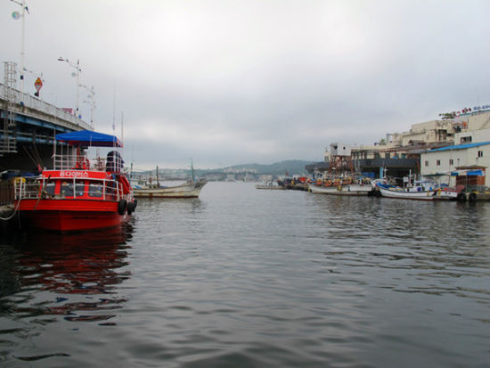 青湖洞与中央洞之间较窄的水域上，停泊着一艘艘老式轮渡船。