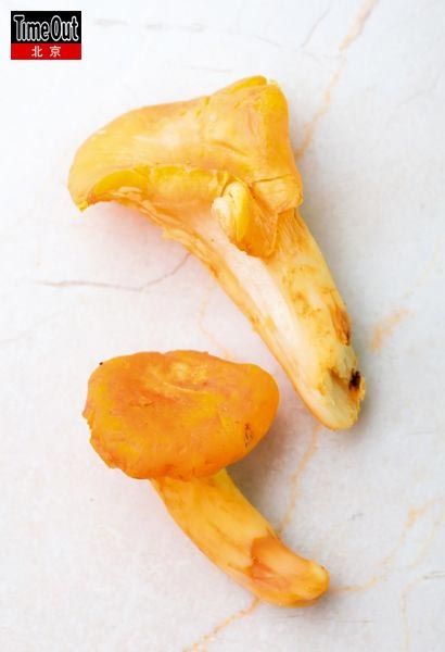 鸡油菌