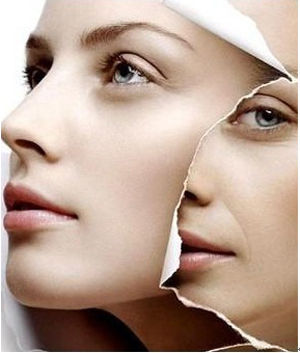 要眼神不要眼纹秋季眼部护理计划书