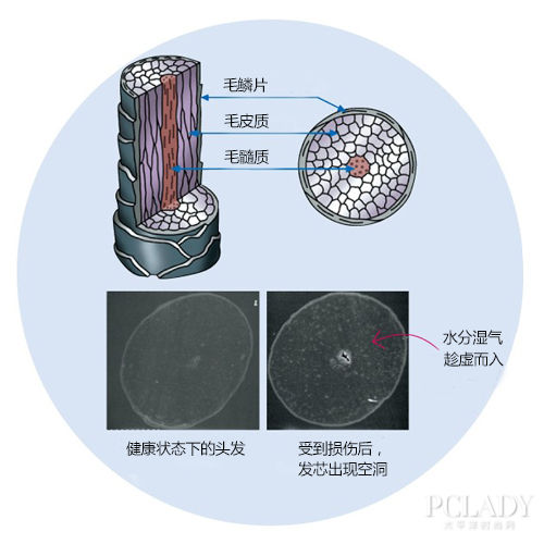 水分侵入发芯空洞