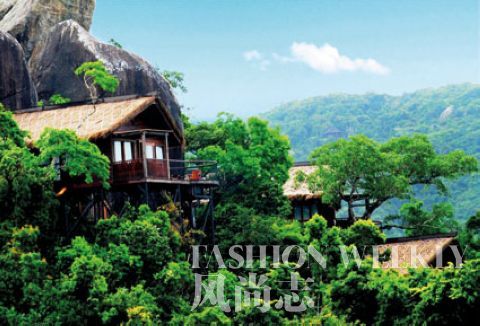 人间天堂鸟巢度假村