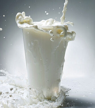 富含钙质的食物