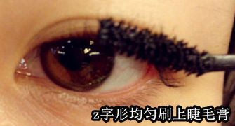 Step4.睫毛中段到睫毛梢Z字形均匀刷上睫毛膏
