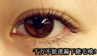 Step5.下睫毛将刷子竖拿用刷头直下刷