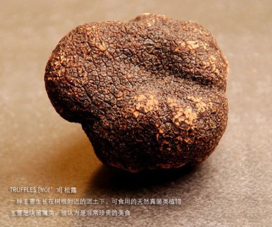 松露是恶魔的化身？