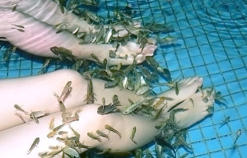 震惊你三观的6种极限SPA