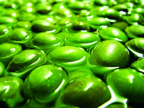 “液体黄金”塑紧致细腻肌肤