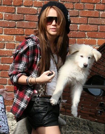 麦莉-赛勒斯 (Miley Cyrus)