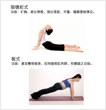 4招瑜伽轻松告别久坐肥胖