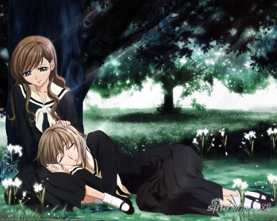 百合其实也很美好