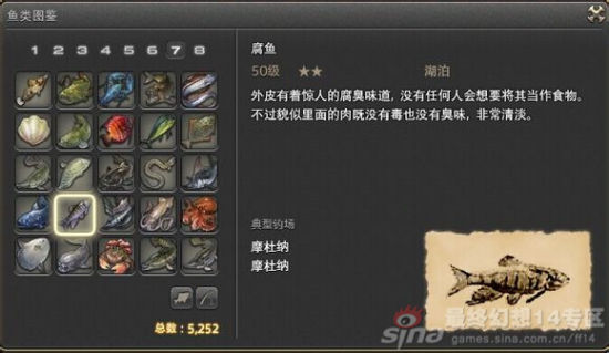 《最终幻想14》钓鱼图鉴全开_新浪游戏_手机新浪网