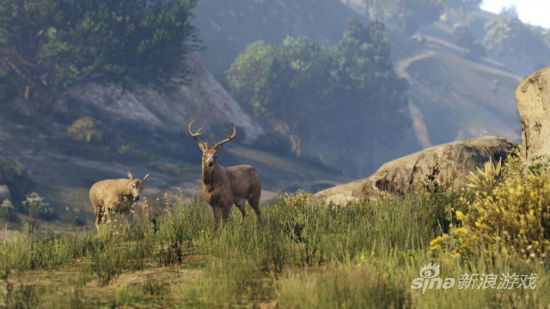植被不再像先前的 PS3 / Xbox 360 版那样有种游戏化的阳春感