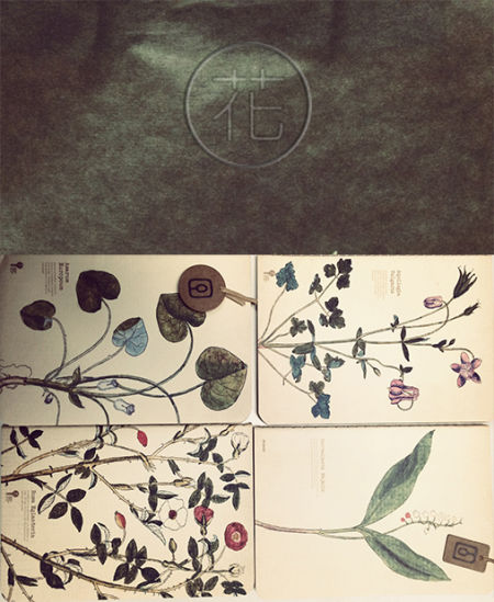 本