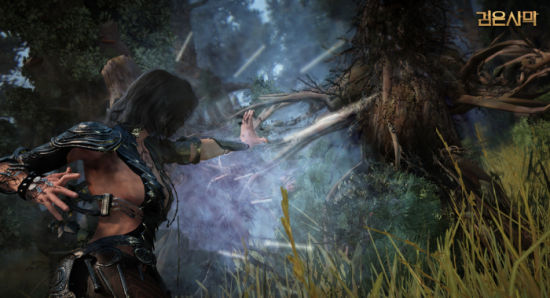 《黑色沙漠》游戏截图