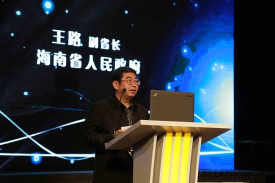 王路 海南省人民政府副省长