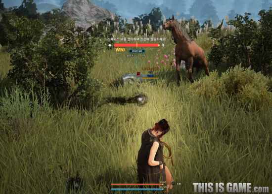 捕获马匹的狩猎游戏