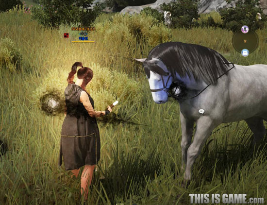 灰色马，可以用来做运送工具