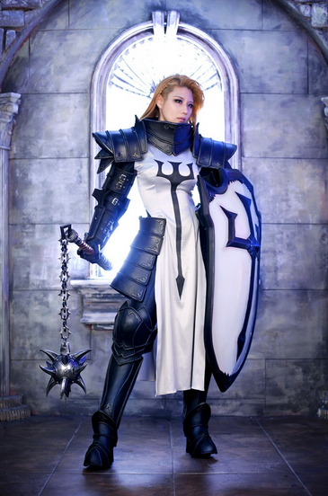 英气十足 暗黑三中圣教军