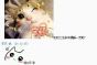 http://www.sinaimg.cn/gm/2015/0119/U10135P115DT20150119131611.jpg