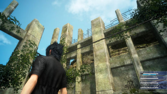 建筑物纹理以及缠绕的植物