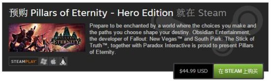 《永恒之柱》steam购买