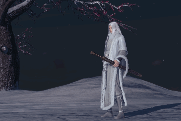 男的帅女的飒 天涯明月刀OL人物动作GIF签名