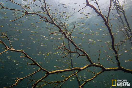 魔兽阿塔哈卡神庙原型？古玛雅人的水神神庙