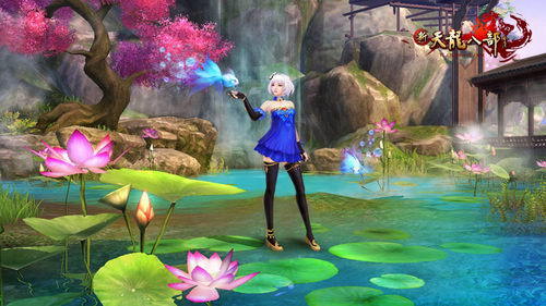 只要你愿意展现