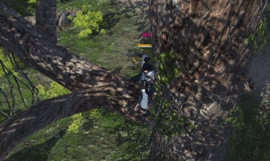 太轻松 天涯明月刀神威九华51级试炼卡位点