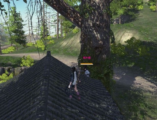 太轻松 天涯明月刀神威九华51级试炼卡位点