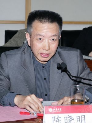 北大中文系教授陈晓明