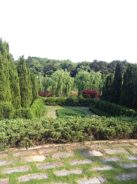 王光美墓地坐落在翠绿丛中