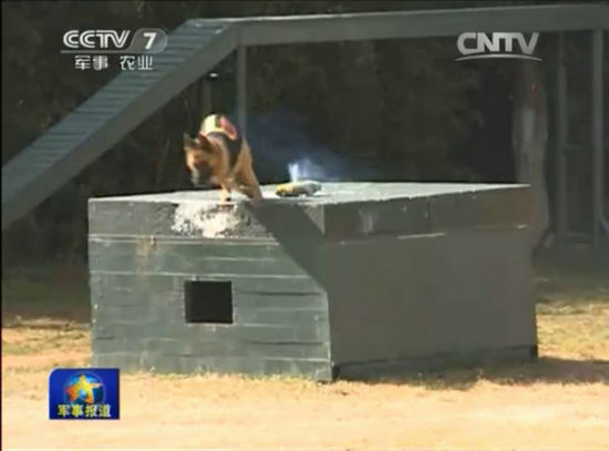 引燃炸药包后迅速撤离。