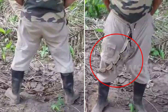 南美军人解手裤腿里爬出蟒蛇_手机新浪网