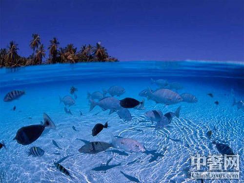 蓝壁海峡 感受潜水的天使之窗