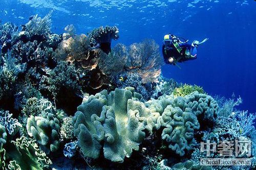 蓝壁海峡 感受潜水的天使之窗