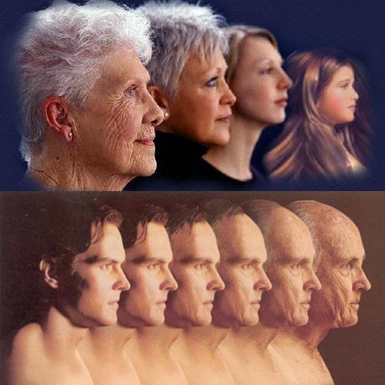 揭秘衰老的过程